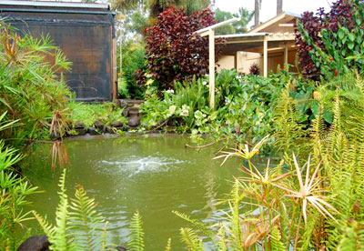 Small Fish Pond.